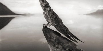 10 điểm du lịch rùng rợn nhưng ai cũng muốn tham quan -4