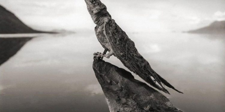 10 điểm du lịch rùng rợn nhưng ai cũng muốn tham quan -4