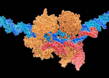 Crispr chỉnh sửa gien mở cửa một thế giới chưa sẵn sàng -4