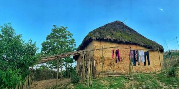 Nhà trình tường: Nét kiến trúc độc đáo 'thân thiện môi trường' -4