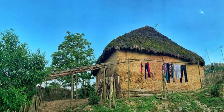 Nhà trình tường: Nét kiến trúc độc đáo 'thân thiện môi trường' -4