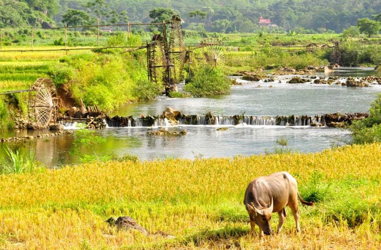 Nhìn vào dòng du khách Việt: Sức mua nội địa và sức mạnh nội tại -1