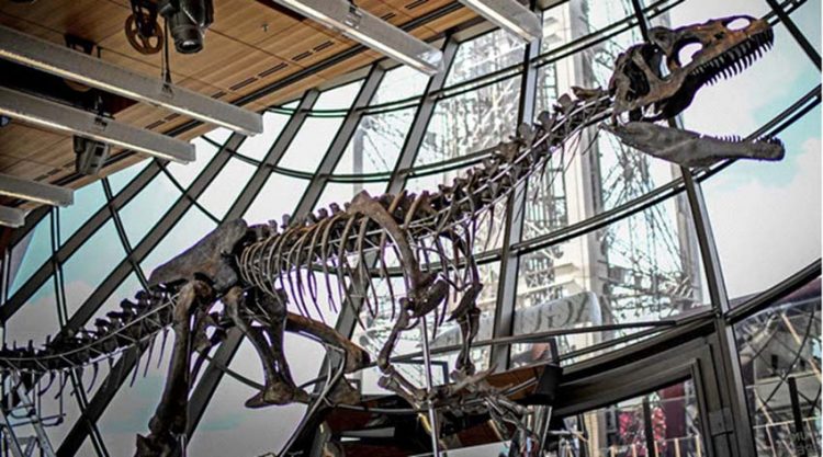 Những cuộc đấu giá kỳ lạ -6