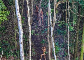 Tìm hiểu rừng amazon qua 5 con số -1