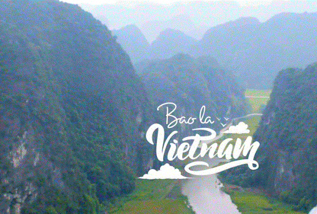 Bao La Việt Nam