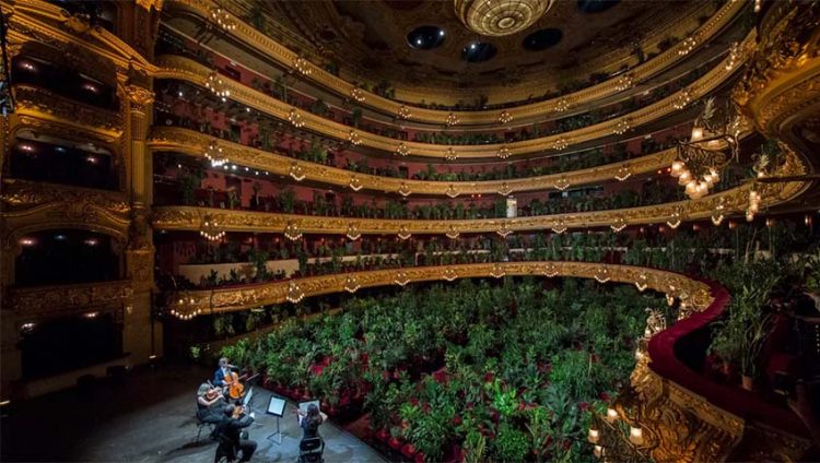 Buổi diễn có một không hai: hòa nhạc cho hơn 2.200 cây xanh nghe