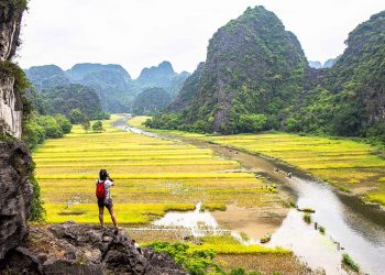 Mùa lúa chín ở cố đô -4