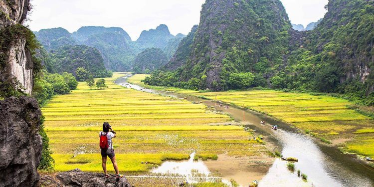 Mùa lúa chín ở cố đô -4