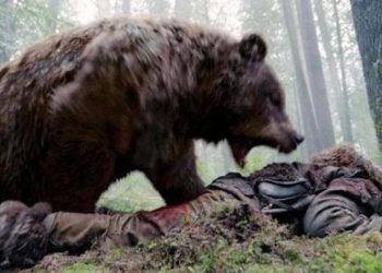 Những người thần chết 'bó tay' -6