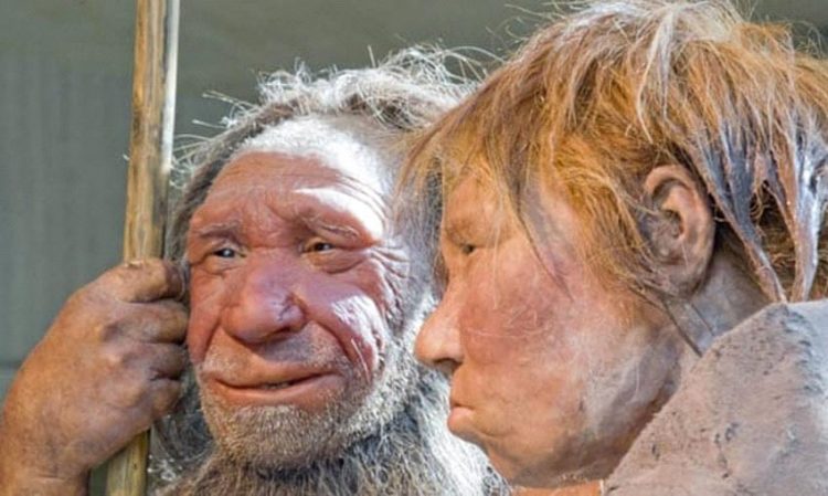 Những phát hiện mới nhất về người Neanderthal -1