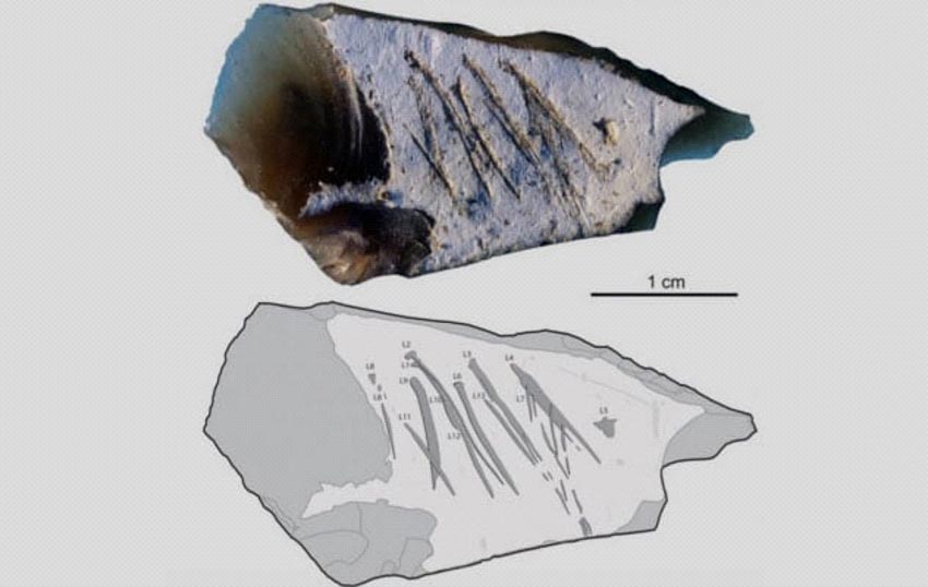 Những phát hiện mới nhất về người Neanderthal -6