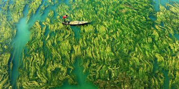 Sững sờ với 'nước' qua giải Nhiếp ảnh quốc tế Hamdan năm 2020 -9