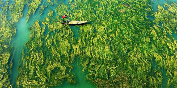 Sững sờ với 'nước' qua giải Nhiếp ảnh quốc tế Hamdan năm 2020 -9