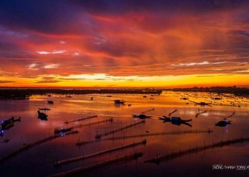 Thành lập khu bảo tồn đất ngập nước Tam Giang - Cầu Hai