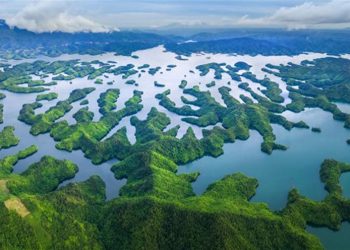 Trekking Tà Đùng, cắm trại ở độ cao 1.982 m -1