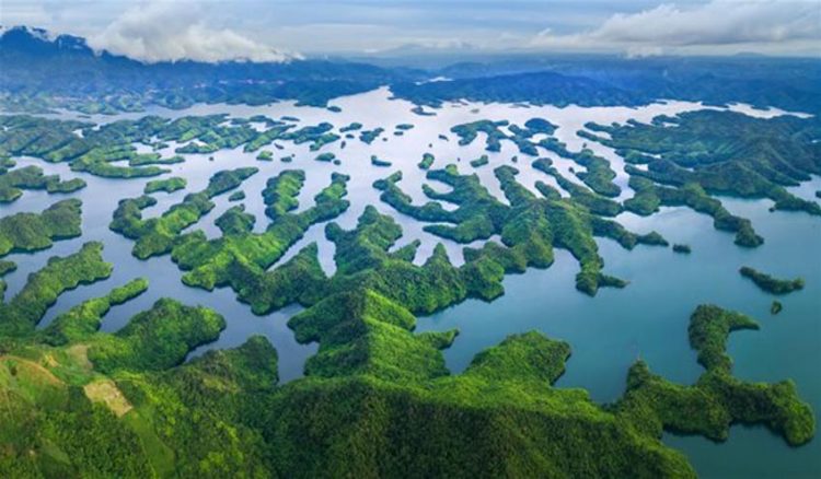 Trekking Tà Đùng, cắm trại ở độ cao 1.982 m -1