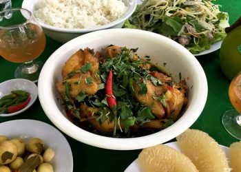 Trồng rau răm, ‘gặt’... gà kho tàu -1