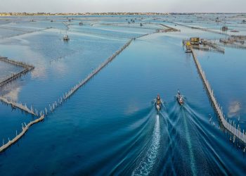 Vẻ đẹp trù phú của vùng nước Tam Giang - Cầu Hai -12