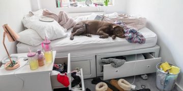 Bạn có ngửi được mùi ngôi nhà của mình? -1