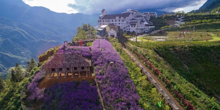 Địa điểm 'trốn nóng' lý tưởng cho ngày hè với ngút ngàn mây và ngợp ngời hoa -5