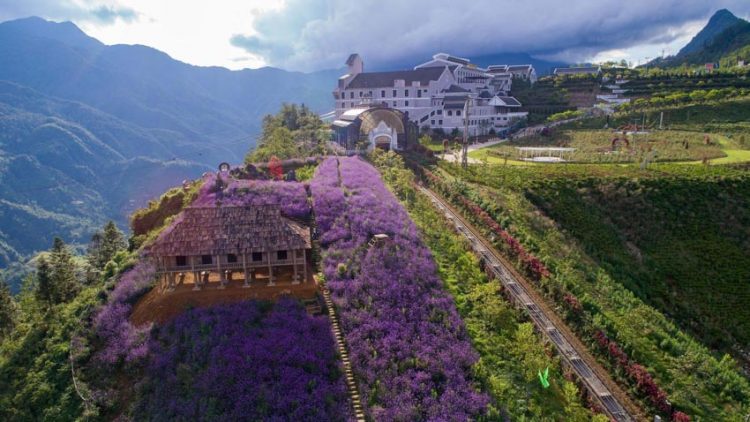 Địa điểm 'trốn nóng' lý tưởng cho ngày hè với ngút ngàn mây và ngợp ngời hoa -5