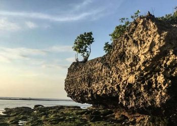 Ta không cần Mặt trời nữa