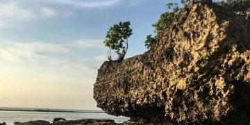 Ta không cần Mặt trời nữa