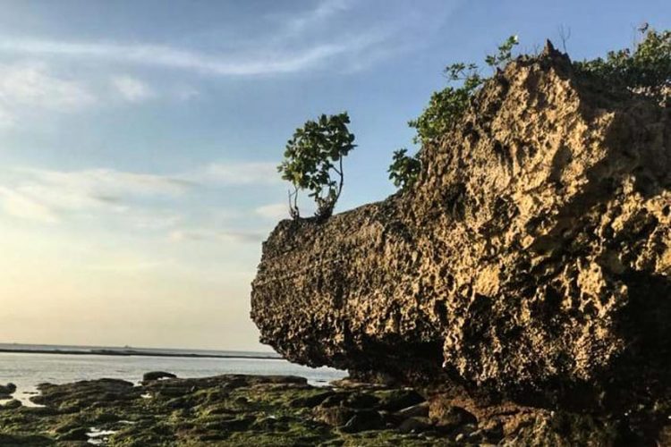 Ta không cần Mặt trời nữa