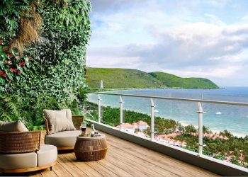 'Tầm nhìn' của cuộc sống hạnh phúc -1