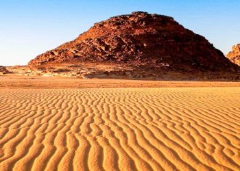 'Bức tường sống' chặn sa mạc hóa -1