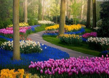 Đi tìm loạt điểm đến màu mè nhất thế giới -4