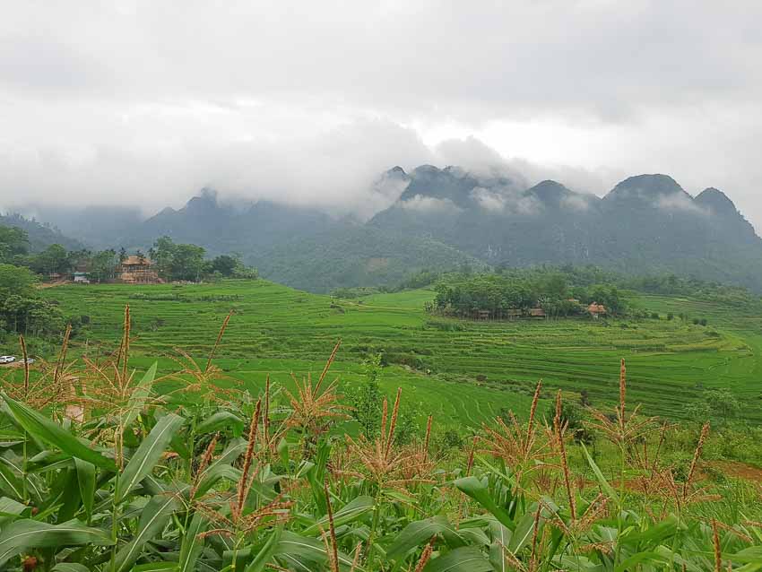 Chạm mây, ngửi hương lúa mới Pù Luông - 2