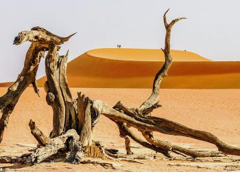 Mùa dịch ở nhà và ngắm thế giới tươi đẹp qua ống kính National Geographic Traveller -4