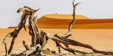 Mùa dịch ở nhà và ngắm thế giới tươi đẹp qua ống kính National Geographic Traveller -4