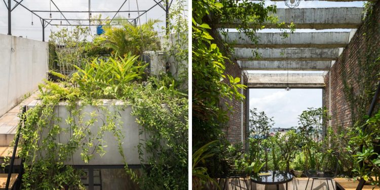 Ngôi nhà 'xanh' tại Bắc Ninh giảm thiểu tiếng ồn và ô nhiễm khói bụi từ 3 khu công nghiệp -12