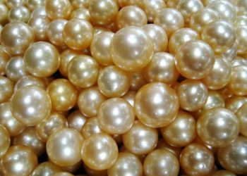 Những kho báu ẩn giấu ngoài đời thực -3