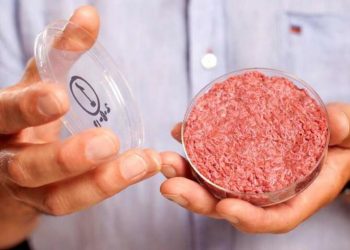 Thịt nhân tạo được sản xuất trong không gian -1