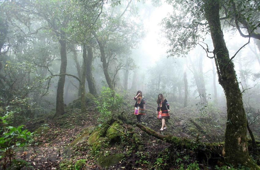 Trekking – Phong cách du lịch thú vị cho những ai thích chinh phục -11