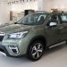 Sở hữu ngay Forester với siêu ưu đãi tháng 9 với tổng giá trị đến 255 triệu đồng từ Subaru Việt Nam - 1