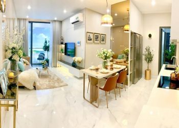 Rio Land giới thiệu những căn hộ đẹp nhất dự án Precia