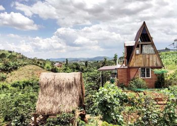 Cái 'tổ' của loài thượng đẳng -2