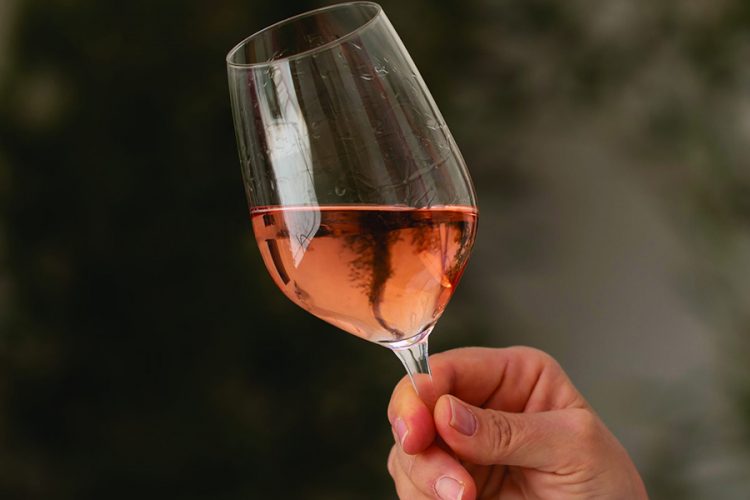 Rượu vang hồng Rosa vùng Sicilian mang tên Dolce & Gabbana - 4