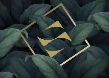 Nâng tầm nhận diện thương hiệu, SonKim Land sẵn sàng cho những bước phát triển nhảy vọt -1