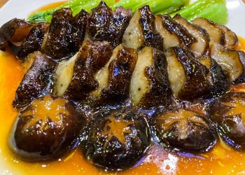 Thực hư về 'thuốc tiên' hải sâm… -6