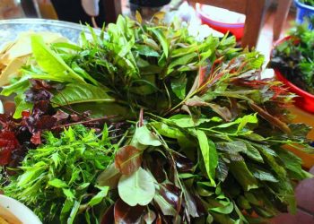 Trà dư tửu hậu: Bình yên nhìn về quá khứ -6