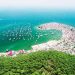 Chuyên đề Đô thị đặc thù - Tiến biển bằng đô thị: Tiến biển bằng đô thị