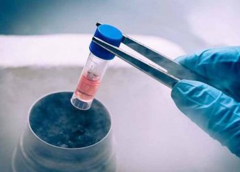 Tế bào gốc điều trị ung thư gan?