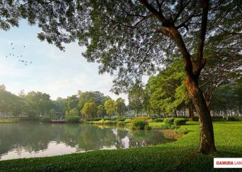 Không cần tậu 'nhà vườn nghỉ dưỡng', nhiều gia đình trẻ chọn cách hay hơn -1