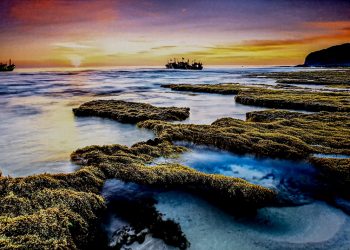 Rong ruổi bờ biển Phú Yên