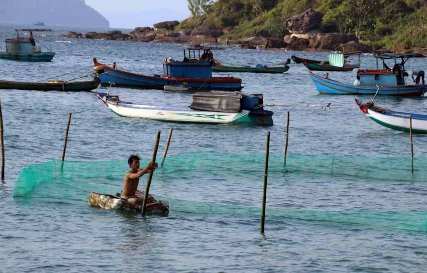 Bảo tồn biển Việt Nam: Giải pháp để phát triển bền vững kinh tế biển -1